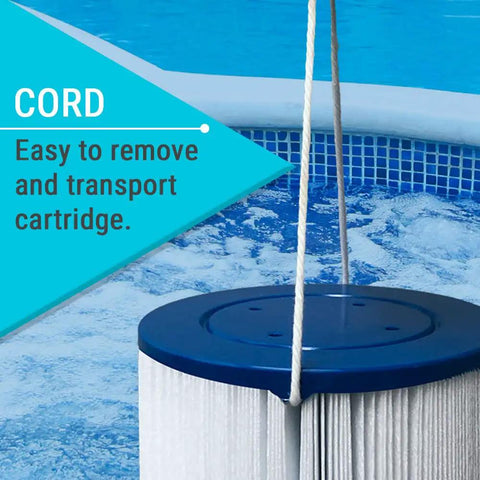 Replacement Filter For FreeFlow Spa 303279 with removal cord by pool