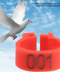 Flying pigeon with 8mm Plastic Pigeon Leg Bands With Numbered IDs 001-100 Red Durable Bird Rings For Poultry Management