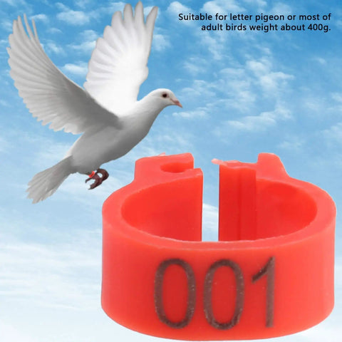 Flying pigeon with 8mm Plastic Pigeon Leg Bands With Numbered IDs 001-100 Red Durable Bird Rings For Poultry Management