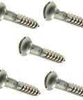 Five screws from Heavy Duty Round Head Wood Screws Kit Stainless Steel Slotted Drive Size Fourteen One And Three Quarters Inch