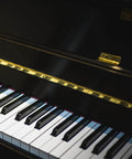 Piano with black and white keys showcasing metal hinge detail on lid