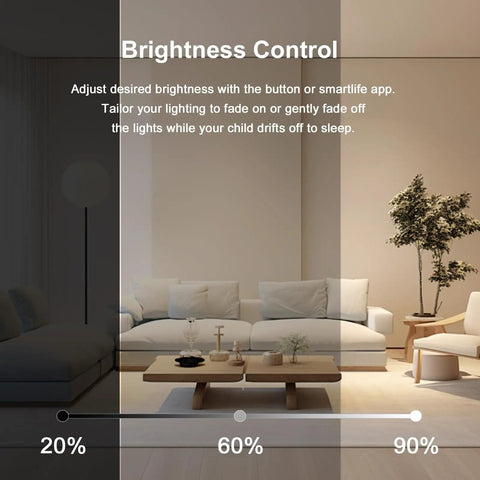 Brightness control demonstration with Z-Wave Plus 3-Way Smart Dimmer Switch with Built-In Repeater, living room scene with sofa and plant