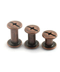 75 Piece Red Bronze Chicago Bindery Screw Assorted Kit M5 M5x6 M5x10 M5x12 showing three assorted sizes of nickel plated carbon steel screws.