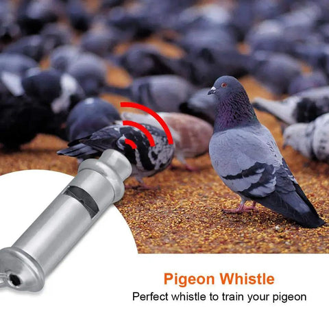 Stainless Steel Ultrasonic Pigeon Whistle With Lanyard For Bird Training and Pet Behavior Improvement near pigeons on ground.