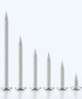 Heavy Duty Stainless Steel 156 Piece Screw Assortment Kit Featuring Self Tapping Phillips Modified Truss Heads, varying lengths of screws.