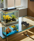Fish Tank Water Hose Clip Holder For Aquarium Hose Clamp Made Of ABS Plastic on glass table beside aquarium