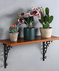 2 Pack Wall Mounted Shelf Brackets Built Ridiculously Tough And Dang Heavy Duty Vintage Cast Iron L Shape Corner Brace supporting decorative plants.