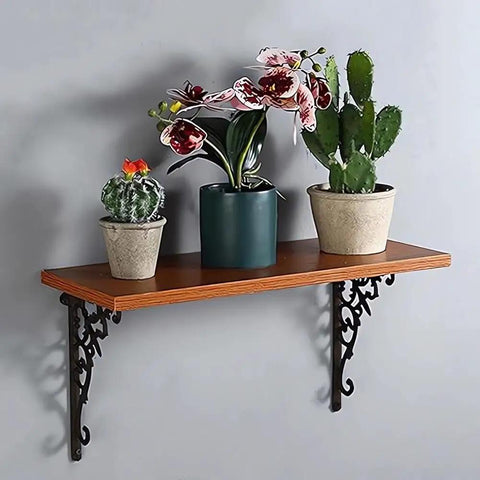2 Pack Wall Mounted Shelf Brackets Built Ridiculously Tough And Dang Heavy Duty Vintage Cast Iron L Shape Corner Brace supporting decorative plants.
