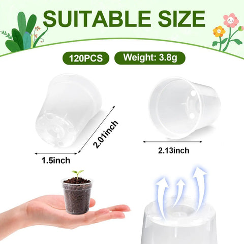 Infographic showing dimensions of 120 Pack 2 Inch Clear Mini Nursery Pots With Drainage Holes For Seed Starting And Seedlings.