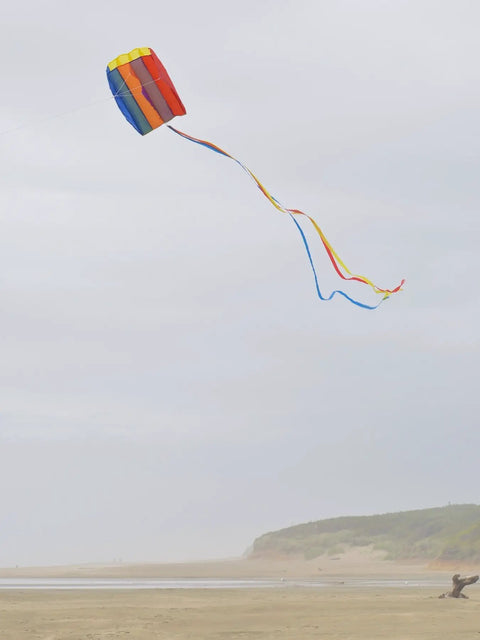 Rainbow Pouch Parafoil Kite Ready To Fly No Assembly Single Line Fun For Beginners And Kids Alike Lightweight Ripstop