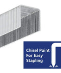 Heavy Duty Galvanized T50 Staples And 18 Gauge Brad Nails 7500 Count Bulk Packs showing chisel point design for easy stapling.