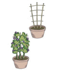 Potted plants with Sturdy Bamboo Garden Trellis Set Of 3, 24 Inch Tall Ladder Style Plant Support For Climbing Vines.