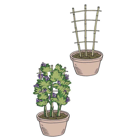 tall trellis for potted plants Sturdy Bamboo Garden Trellis Set Of 3, Durable Support ✓