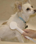 Dog being washed with VersaSpray Portable Handheld Shower Sprayer For Bathtubs Without Diverter Fits Round Or Square Tub Spouts White 1 Pack