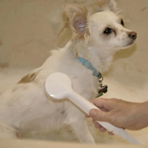 Dog being washed with VersaSpray Portable Handheld Shower Sprayer For Bathtubs Without Diverter Fits Round Or Square Tub Spouts White 1 Pack