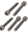 Premium Grade Two Titanium Screws M4 By Thirty Millimeter Hex Socket Cap Head Fasteners Tough As Nails Corrosion Proof Heavy Duty Aerospace Hardware Bang For Your Buck Silver Tone Diy Marine Parts Pack Of Ten, five screws displayed.