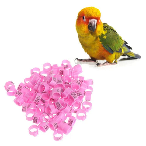 10mm Pigeon Leg Bands Identify Rings Pack Of 100 For Carrier Birds Durable Metal Bird Tags With Numbers Training And Tracking Supplies