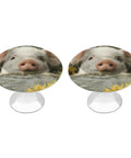 Round Glass Cabinet Knobs With Stainless Steel Base Crystal Drawer Pulls 2 Pack featuring pig design