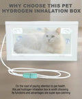 Pet Hydrogen Oxygen Inhalation Box For Cats And Dogs with cat inside, easy setup nebulizer chamber, visible handles and tube