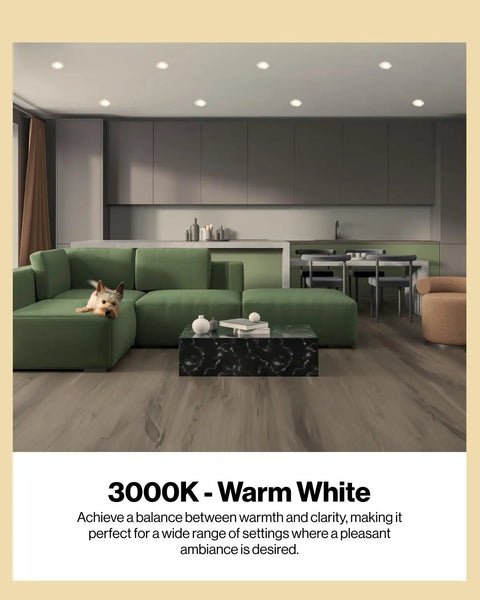 Modern living room with 10 Pack BR20 LED Bulbs Dimmable Recessed Lighting Flood Lights For Can Lights Indoor Outdoor 550 Lumens 7W 50W Equivalent 3000K Warm White E26 Base Waterproof UL Listed, warm ambience