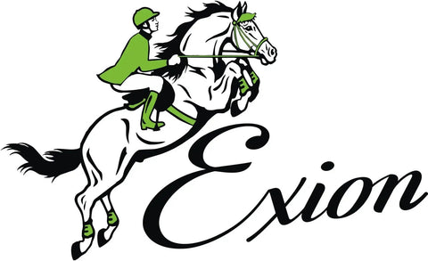 Illustration of a rider and horse jumping with Exion text logo