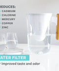 10 Cup Water Filter Pitcher with Bamboo Handle and Coconut Shell Activated Carbon Filter next to glasses, BPA Free Eco Friendly Dispenser