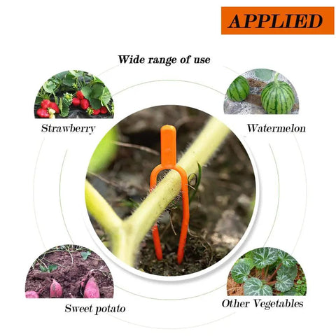 Set Of 100 Plastic Planting Forks For Strawberries And Grapevines, supports various plants with orange vine tendril tools.