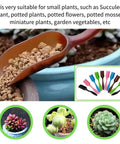 Mini plastic garden shovel scooping soil; Ten Pack Mini Plastic Garden Shovels for Easy Soil Digging and Transplanting, Perfect for Succulents