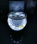 Slick Transparent Dolphin Toilet Seat Featuring Smooth Glide Soft Close Lid Cover And Built In Led Night Light in dark bathroom.