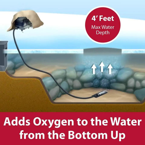Illustration of Complete Pond Aeration Kit For Backyard Ponds Up To 3000 Gallons And Four Feet Deep in action in a pond.