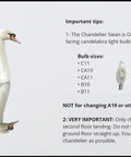 Candelabra Bulb Changer For Chandeliers No Ladder Needed No Extension Pole Upward Facing Bulbs Replacement Tool For High Ceilings guide