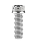 M10 titanium flange hex head bolt, front view, 30mm length, silver