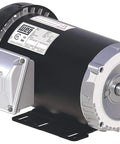 TEFC Standard Efficiency Fractional Electric Motor 3/4 HP, 3-Phase, 1755 RPM, 208-230/460 V, Frame 56, close-up angle