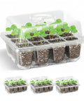 Three Pack Seed Starter Trays With 12 Cells Each Includes Adjustable Humidity Dome And Base Indoor Greenhouse Propagator For Easy Seed Starting At Home Growers With Pro Grade Clear Lids For Quick Monitoring featuring seedlings