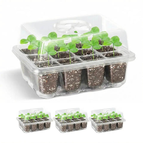 Three Pack Seed Starter Trays With 12 Cells Each Includes Adjustable Humidity Dome And Base Indoor Greenhouse Propagator For Easy Seed Starting At Home Growers With Pro Grade Clear Lids For Quick Monitoring featuring seedlings