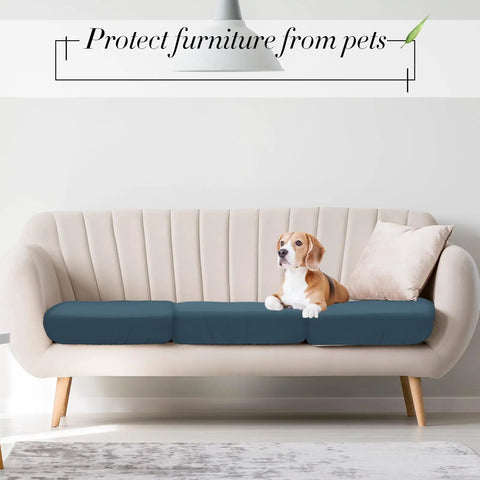 Beagle sits on a sofa with 12 Pack Waterproof Stretch Cushion Covers For Patio And Indoor Couches, Gray Blue slipcovers.