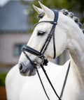 White horse wearing Kudos Classic Dressage Bridle in black full size with detachable clincher browband, cushioned crank noseband.