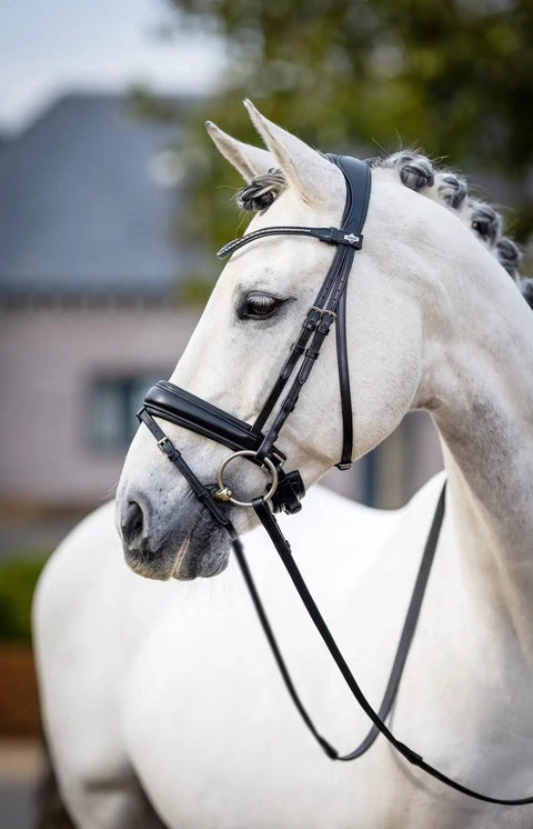 White horse wearing Kudos Classic Dressage Bridle in black full size with detachable clincher browband, cushioned crank noseband.