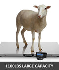 Built Like A Tank Heavy Duty Digital Platform Scale For Pets And Livestock With Waterproof Stainless Steel Deck and Large Backlit LCD Screen showing sheep on scale.