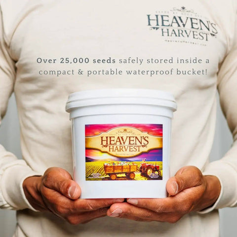 Man holding 10 Year Survival Garden Seed Kit With 25K Plus Open Pollinated Heirloom Veggies Non GMO Waterproof Mylar Seed Bank Bags
