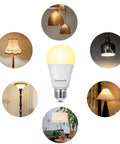 Three Way LED A19 Light Bulbs With 40 60 100W Equivalents, E26 Base, 2700K Warm White, 500 1000 1600 Lumens, bulb and lamp examples
