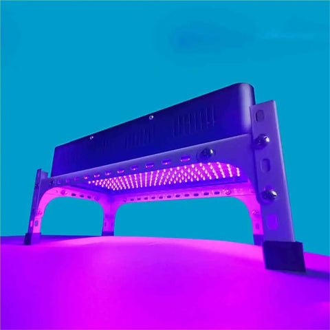 Top Tier Led Uv Curing Light 365Nm Shadowless Cold Source Lamp For 3D Printing resin curing setup with purple light.