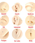 4 Piece Surgical Steel Piercing Insertion Kit With 16G 18G 20G Tapers Threadless Internal Thread And External Thread Options displayed on piercing models for nostril, conch, eyebrow, lip, industrial, tongue, ear lobe, and belly.