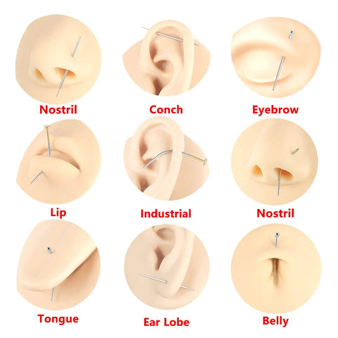 4 Piece Surgical Steel Piercing Insertion Kit With 16G 18G 20G Tapers Threadless Internal Thread And External Thread Options displayed on piercing models for nostril, conch, eyebrow, lip, industrial, tongue, ear lobe, and belly.