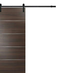 Barn Sliding Door 32 By 96 Brown With 6.6 Ft Top Mount Track Set In Chocolate Ash Planum 0020 Solid Core Modern Closet Room
