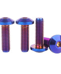 4 Piece Titanium Bolts M8x15mm M8x20mm M8x25mm M8x30mm Set With Torx T30 Head Grade 5 Fully Threaded Burnt Blue Finish