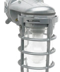Old School Vintage Industrial Wall Mount Light with weatherproof metal and tempered glass in silver, front view.