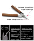 Razor Sharp Pruning Shears For Gardening With Carbon Steel Blade And Walnut Wood Handle, 6.8 Inch Garden Snips illustration