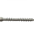 Side view of a single screw from the Composite Trim Screw Set No 8 By 1-5/8 Inches White Coated Steel 221-Piece With Trim Head And T-10 Star Drive
