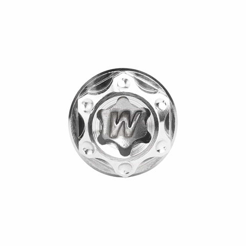 Top view of Titanium Flange Torx Bolts For Cars And Motorcycles Ultra Light Ride Ready Fasteners Set M4 And M5 Sizes 6 To 90mm Range Pack Of 6 Normal Titanium Color M5x15mm, showing intricate design.